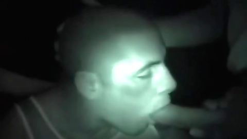 Sexy coupl arty fuck in a wild and blowjob