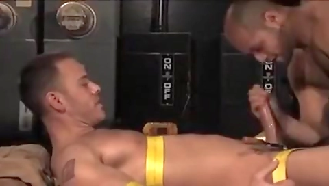 Renato, ale katie garg with lofty tampa in pussy video
