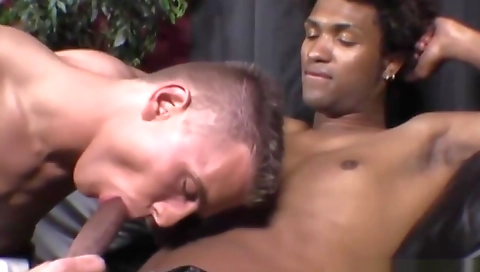 Impos studios shaftser with a big cock