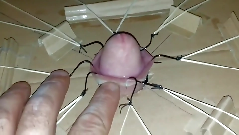 Spanish girl shows off her pussy
